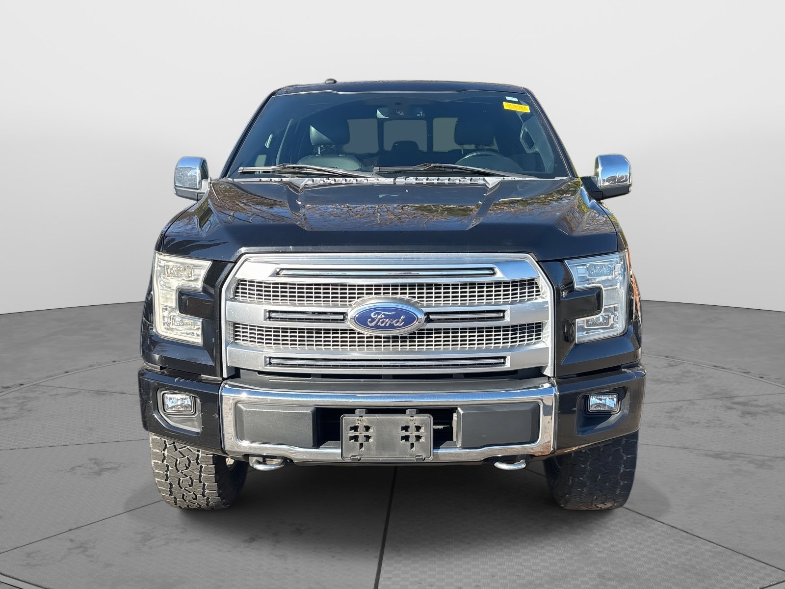 2016 Ford F-150 Platinum photo 3