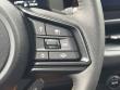 2026 Subaru Outback Wilderness SUV