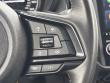 2023 Subaru Forester Wilderness SUV