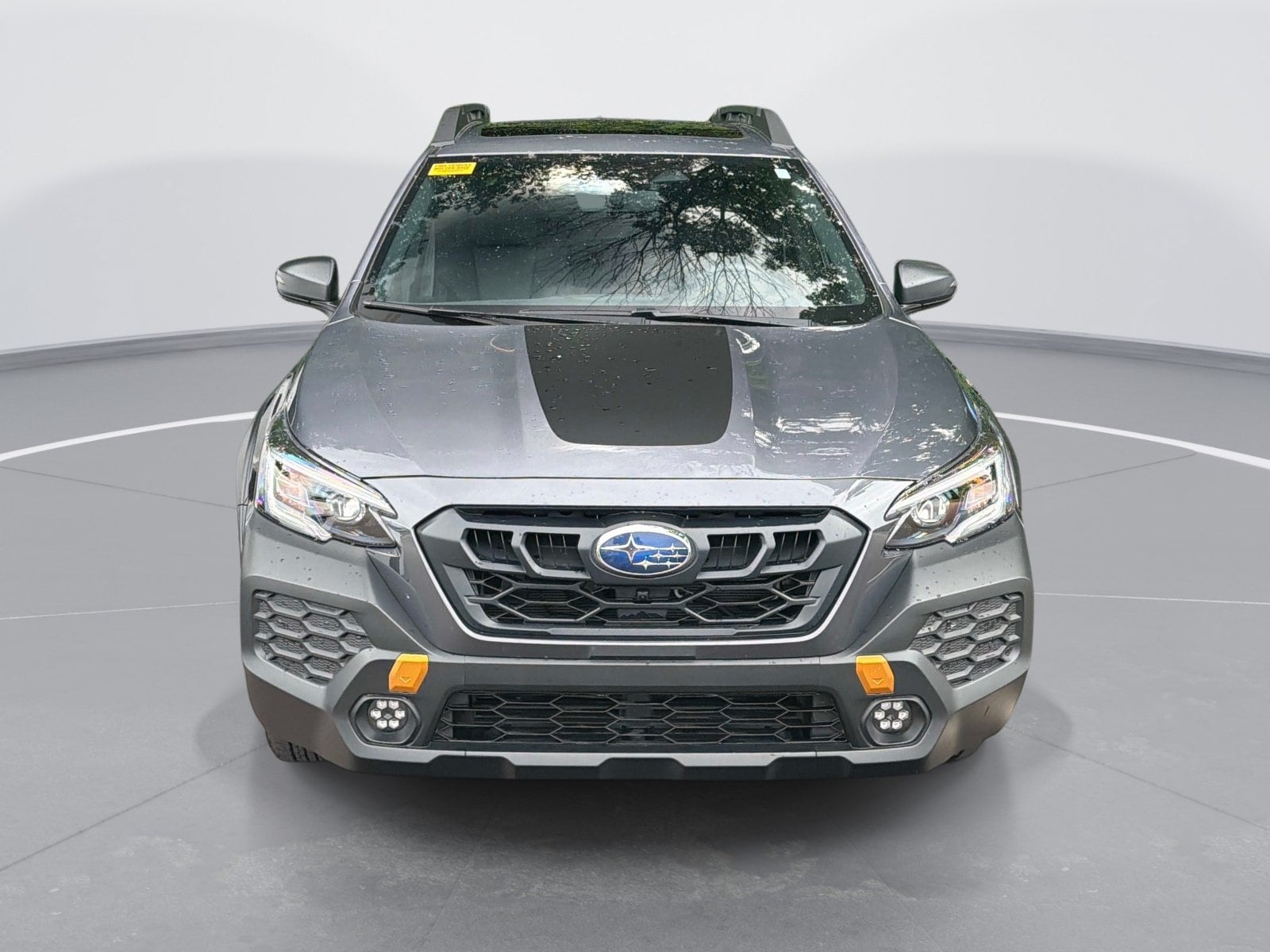 Subaru Outback Wilderness