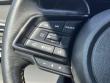 2024 Subaru Outback Wilderness SUV