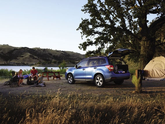 subaru-forester-tennessee.jpg