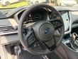 2025 Subaru Outback Onyx Edition SUV