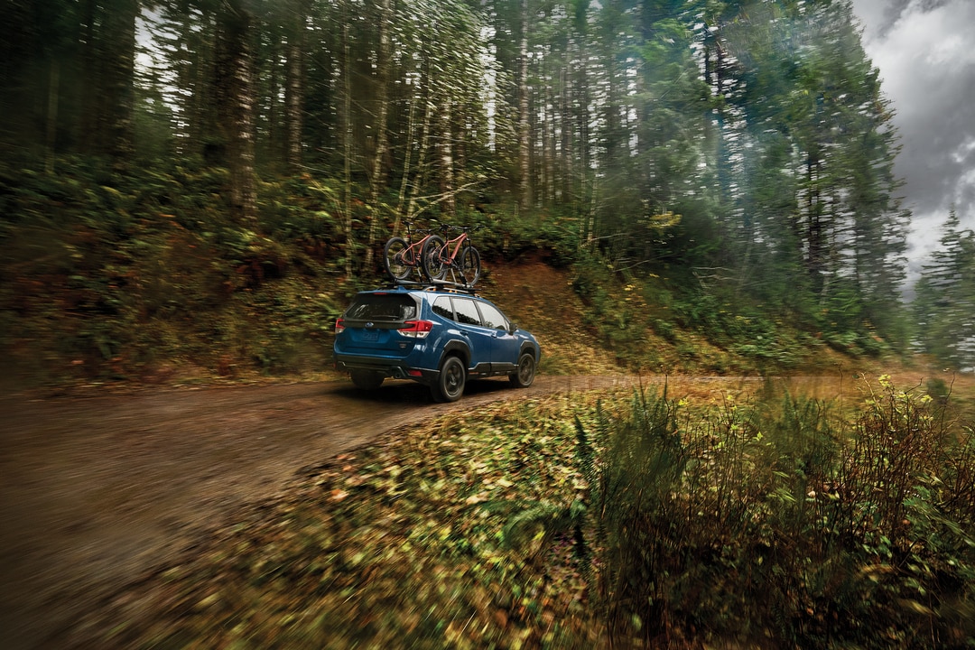 2026 Subaru Forester for sale in Franklin - Nashville