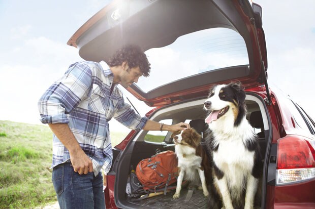 subaru-outback.jpg