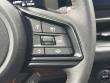 2026 Subaru Outback Wilderness SUV