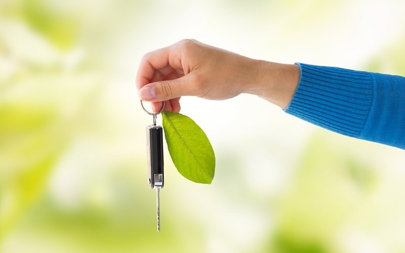 Reasons to Go Green