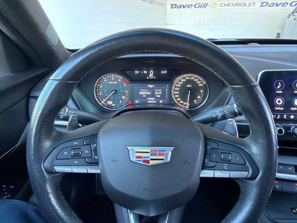 Photo 19