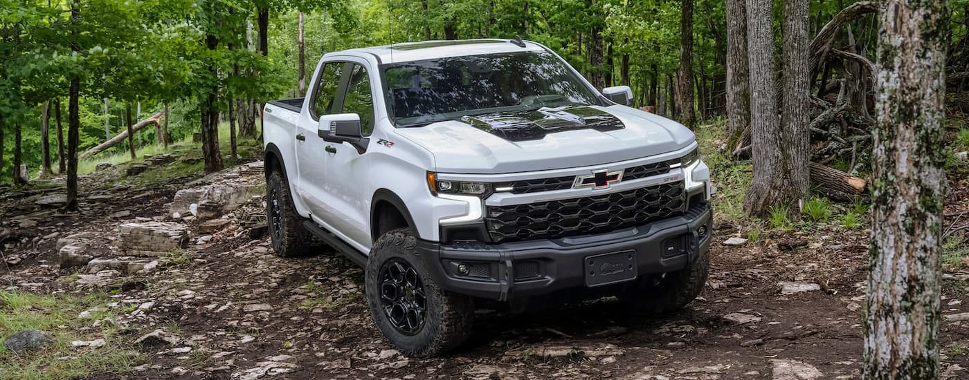 A white 2023 Chevy Silverado 1500 ZR2 Bison is shown off-roading on a dirt trail.