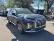 New 2025 Hyundai Palisade Calligraphy AWD SUV
