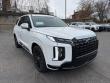 New 2025 Hyundai Palisade Calligraphy Night Edition AWD SUV
