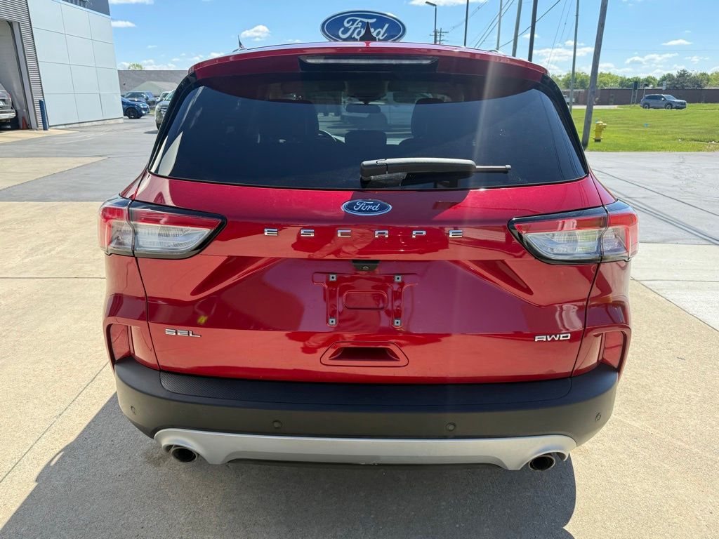 Photo 10