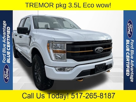 2022 Ford F-150 Tremor Truck