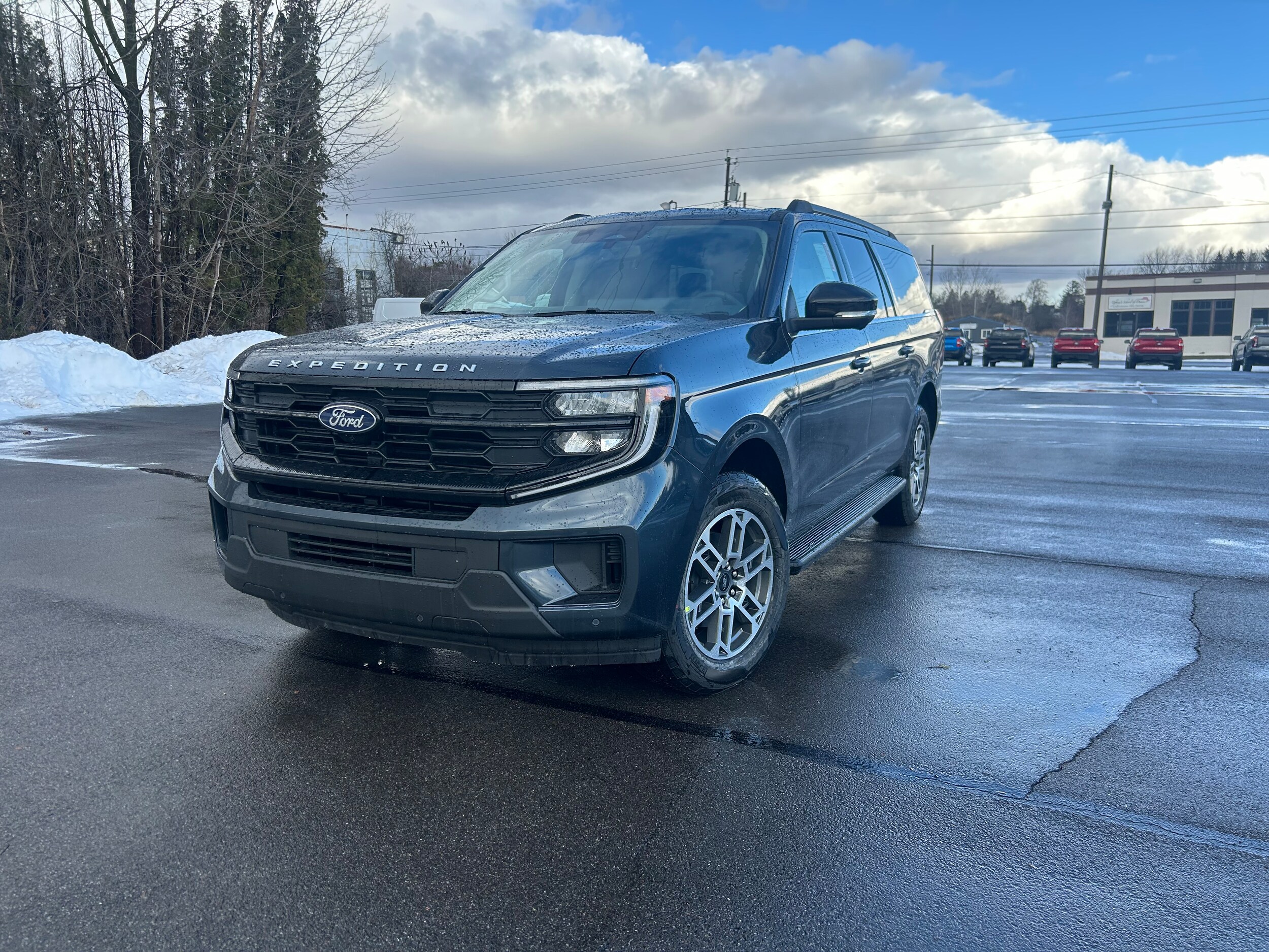 2026 Ford Expedition Active's photo