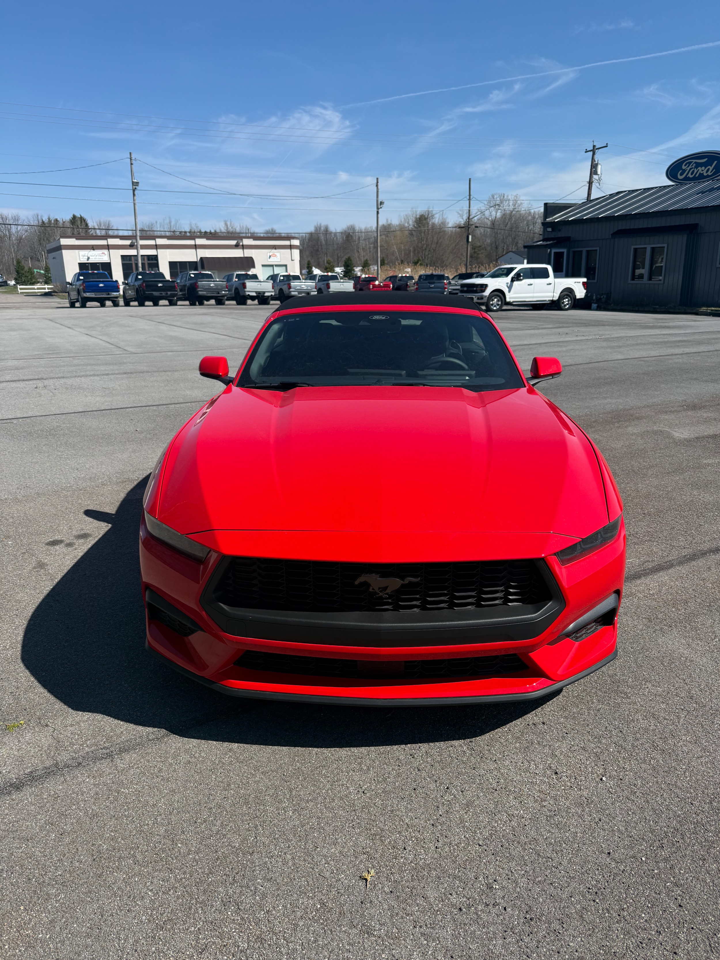 2026 Ford Mustang EcoBoost Premium Convertible's photo