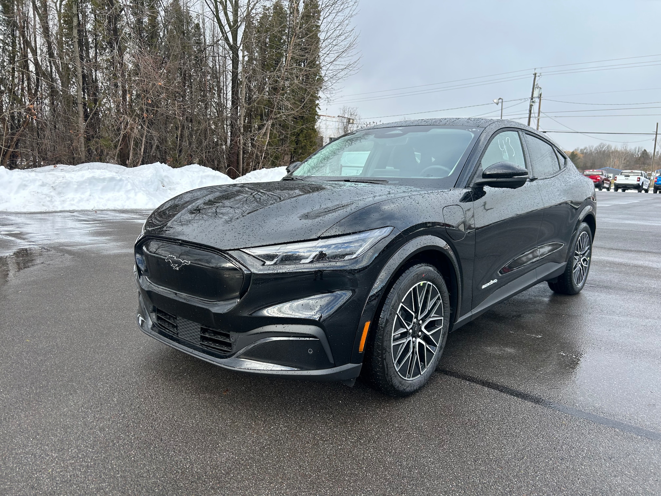 2025 Ford Mustang Mach-E Premium AWD's photo