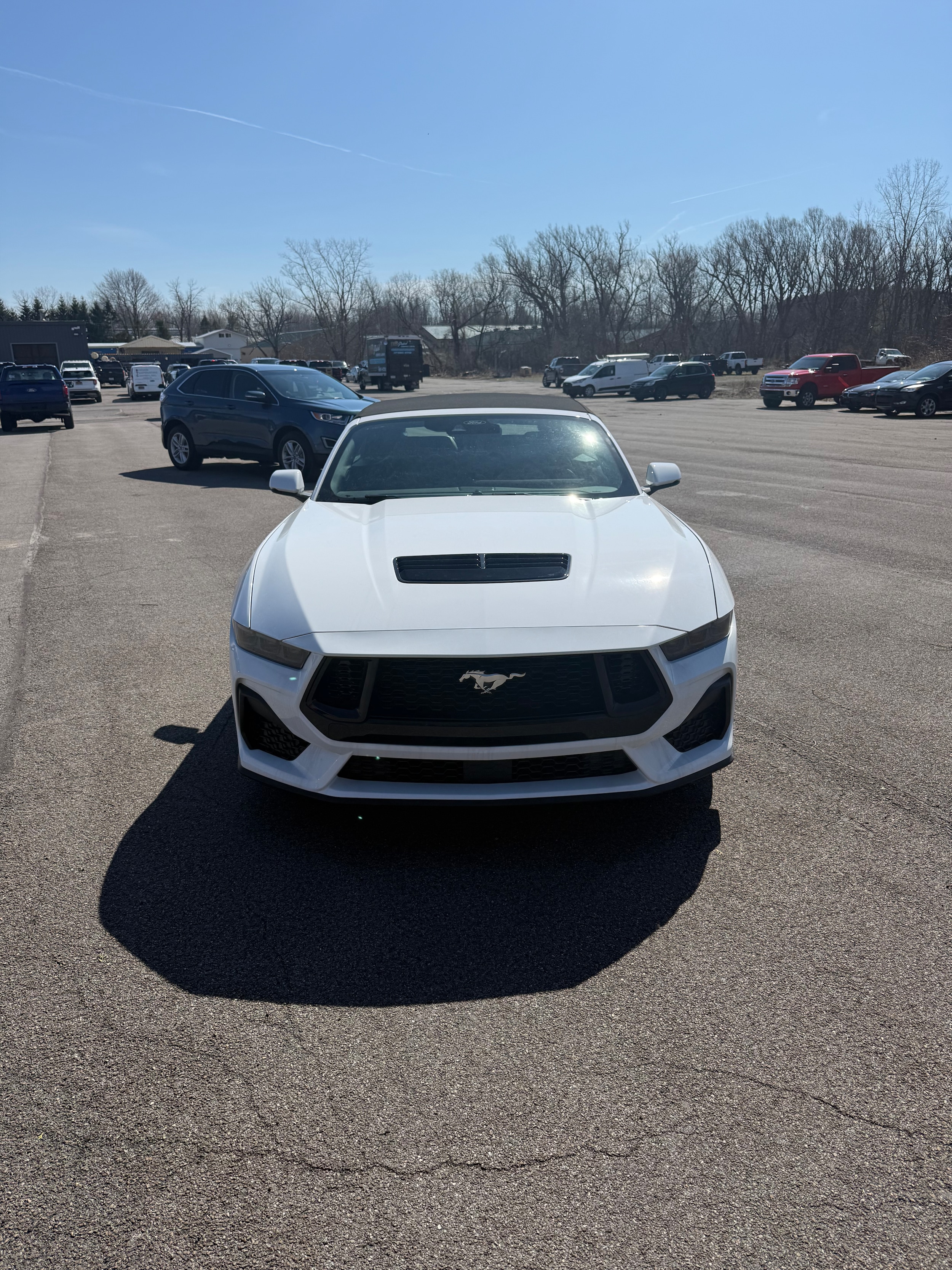 2026 Ford Mustang GT Premium Convertible's photo