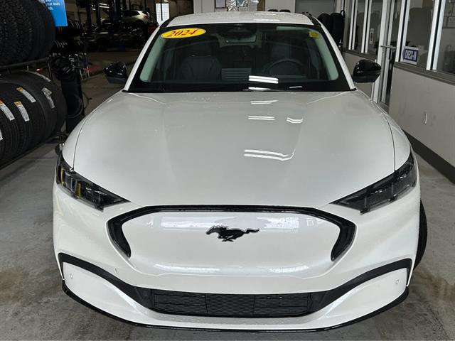 Used 2024 Ford Mustang Mach-E Premium AWD with VIN 3FMTK3SU0RMA16942 for sale in Williamsville, NY
