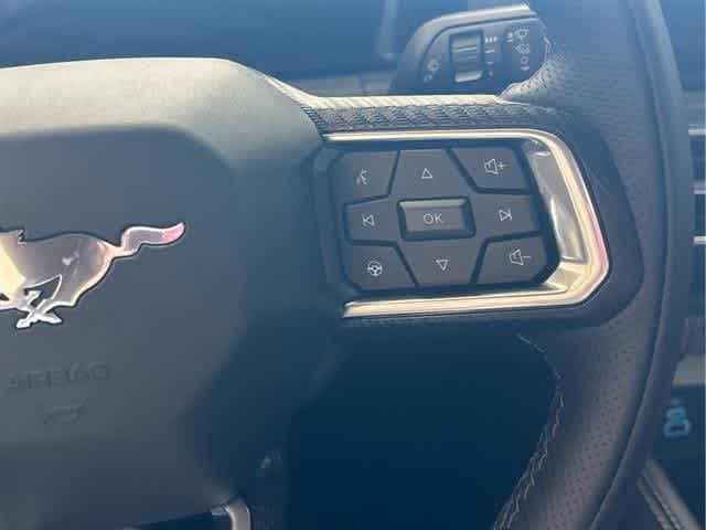 2025 Ford Mustang GT Premium Fastback - Photo 16