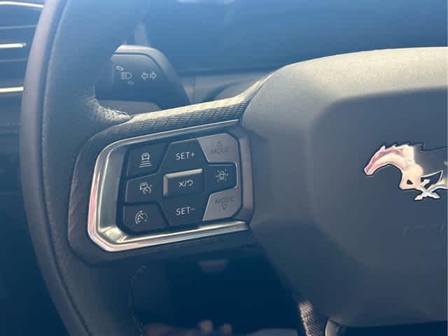 2025 Ford Mustang GT Premium Fastback - Photo 15