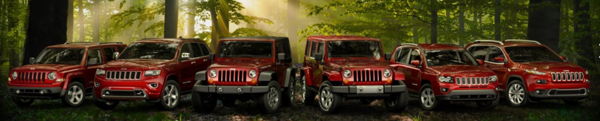 2014 Jeeps