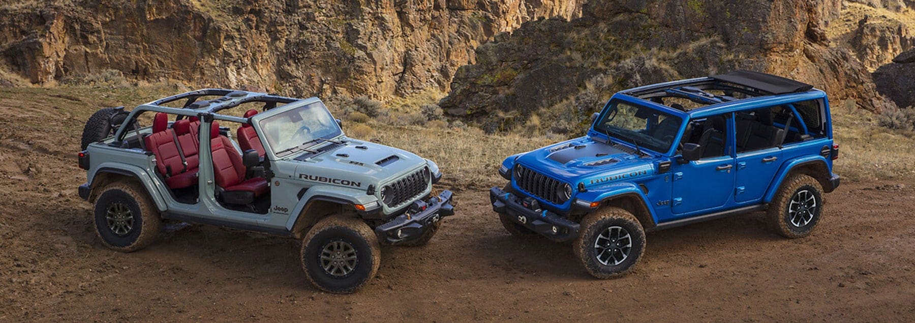 wrangler.jpg