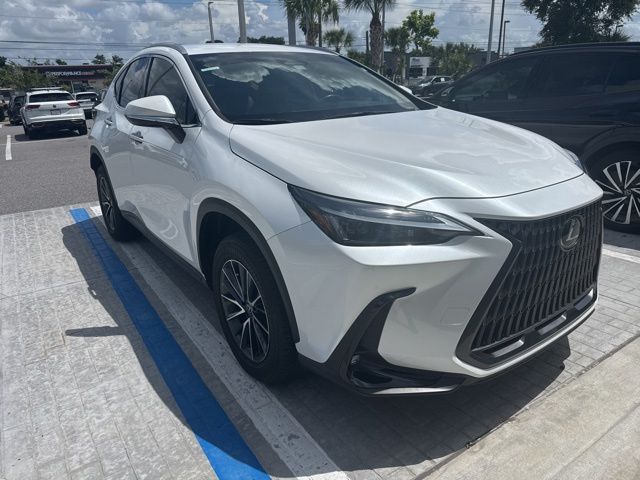 2024 Lexus NX 350 250 FWD's photo