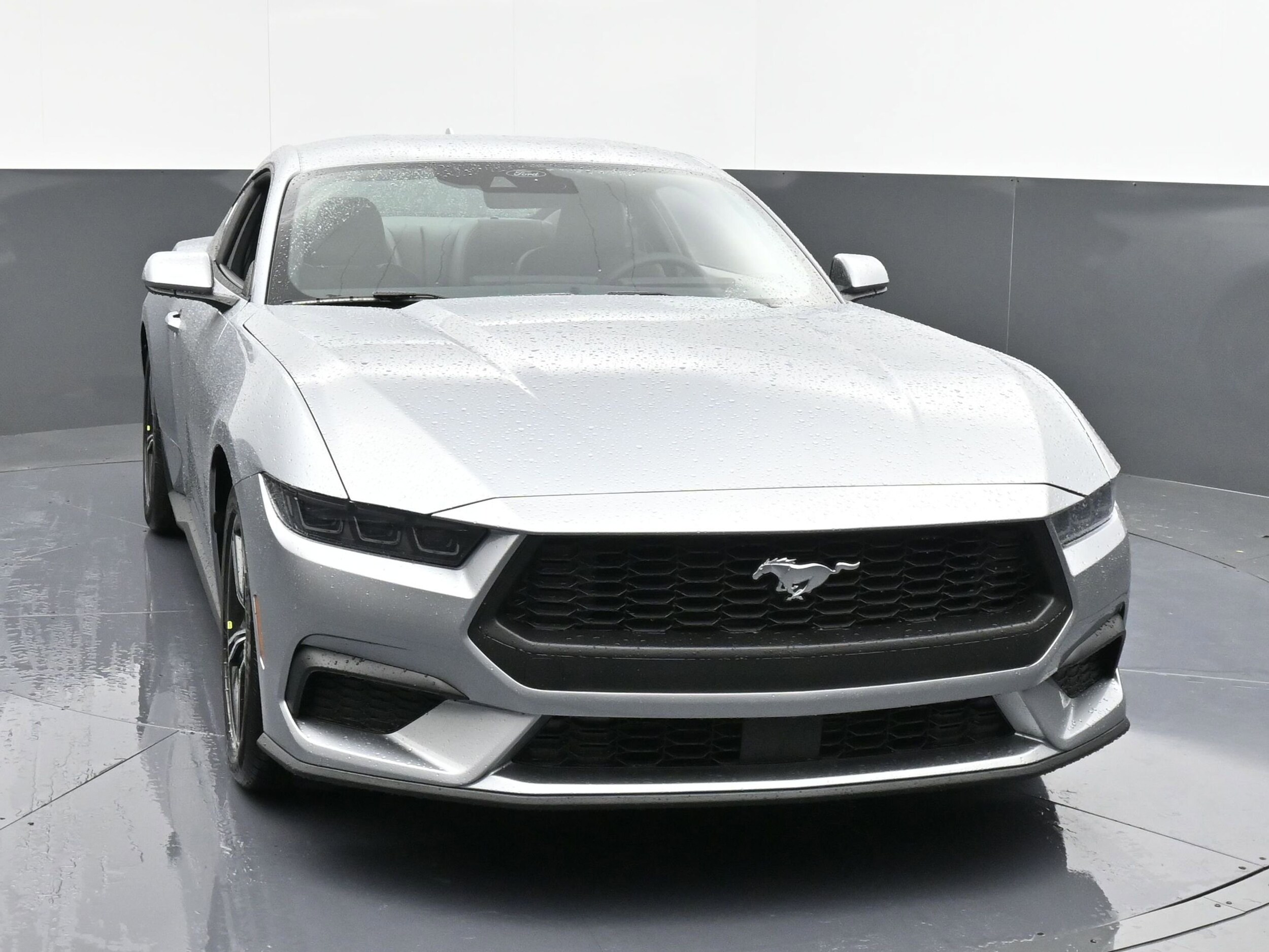 2025 Ford Mustang EcoBoost photo 2