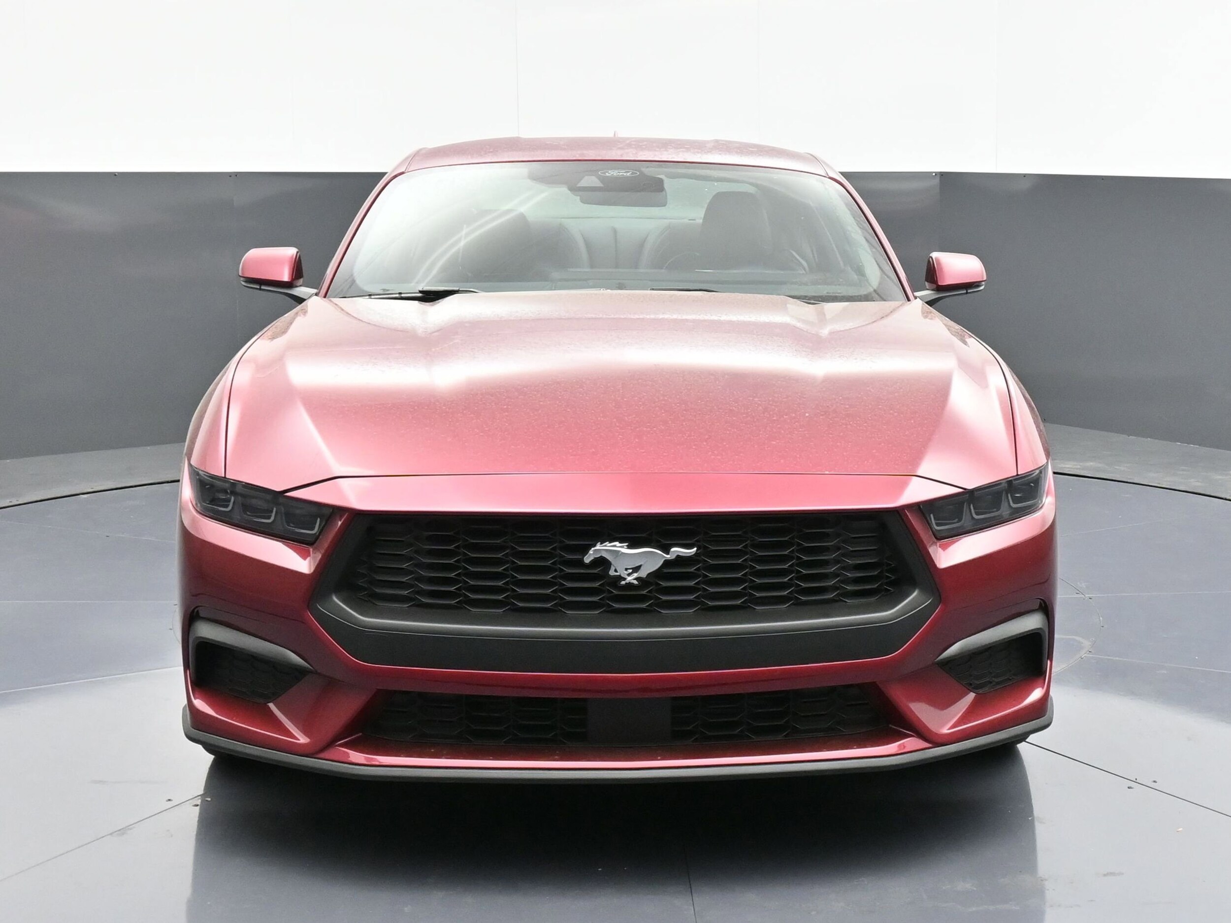 2025 Ford Mustang EcoBoost Premium photo 2