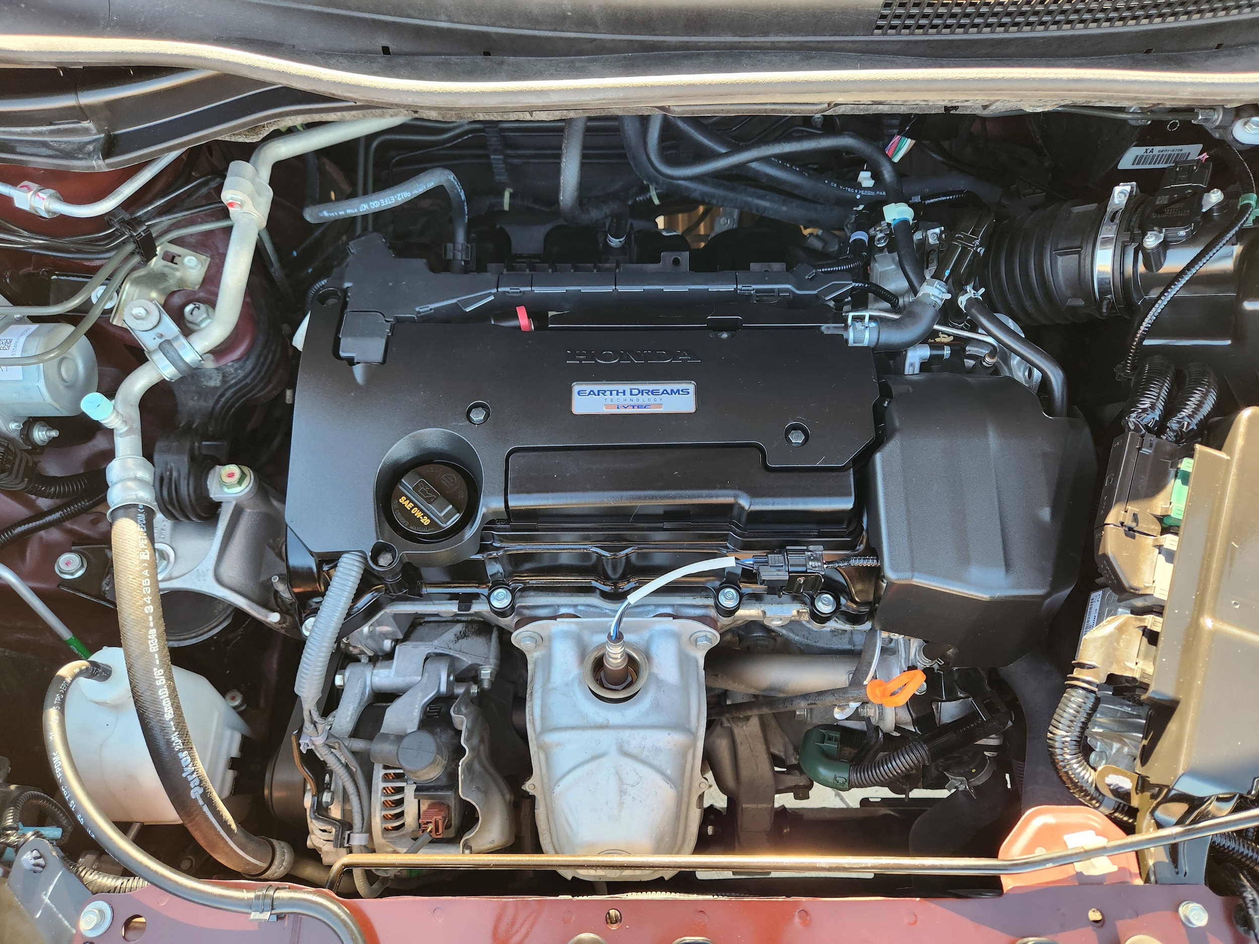 View 31