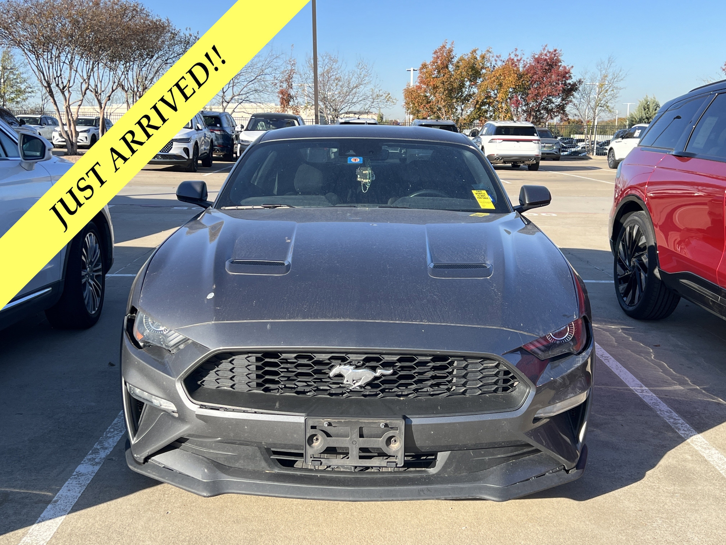 2021 Ford Mustang EcoBoost's photo