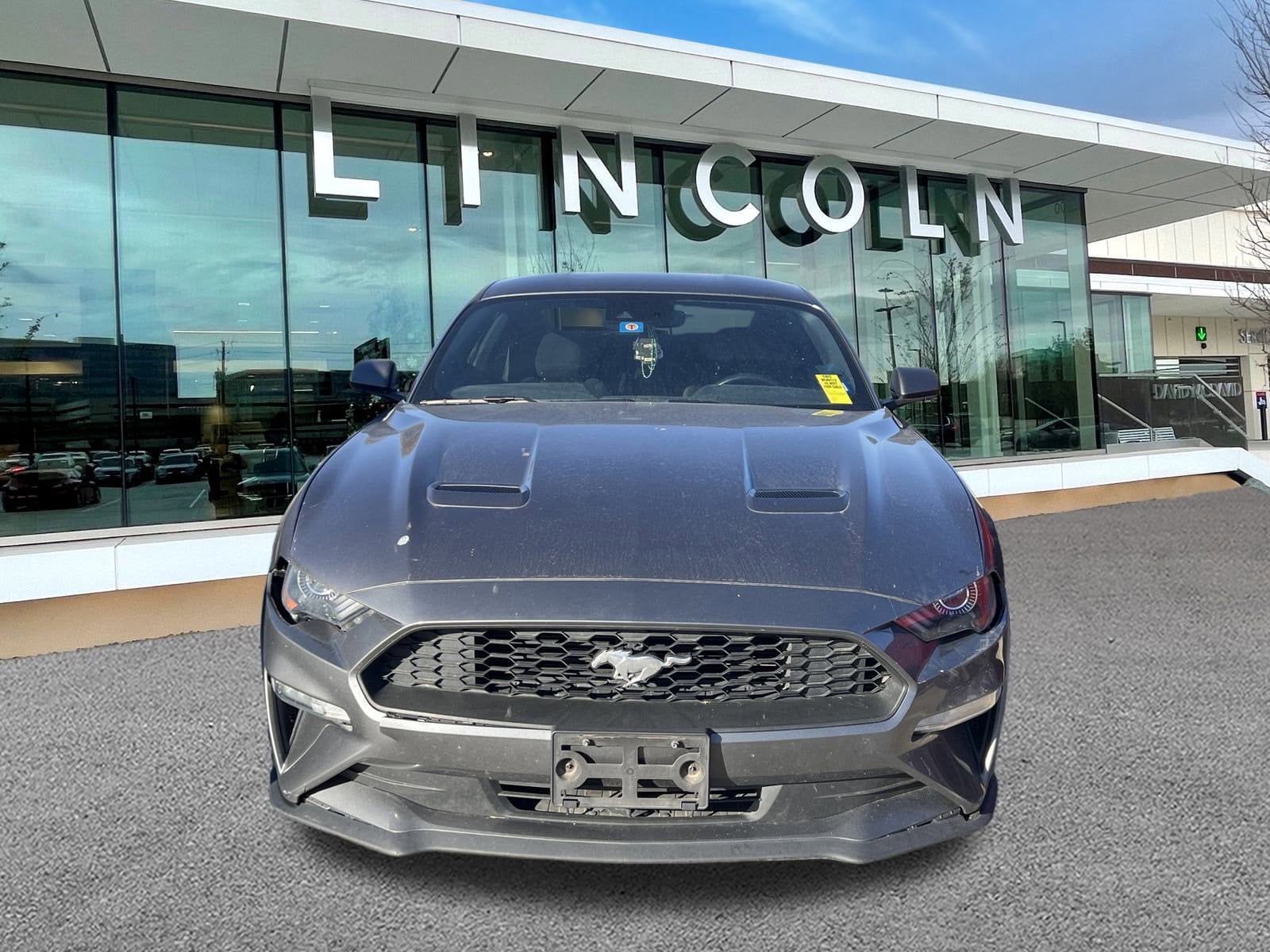 2021 Ford Mustang EcoBoost's photo