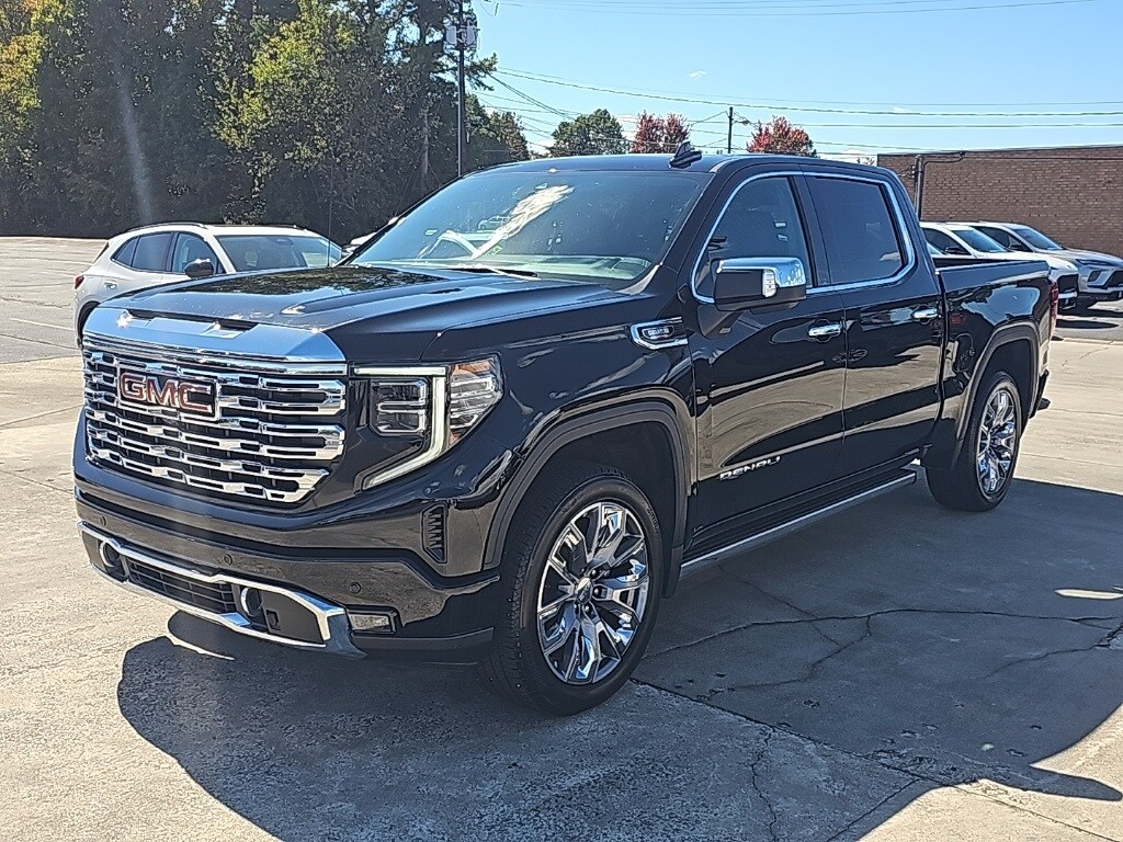 2025 Gmc Sierra 1500 Denali photo 4