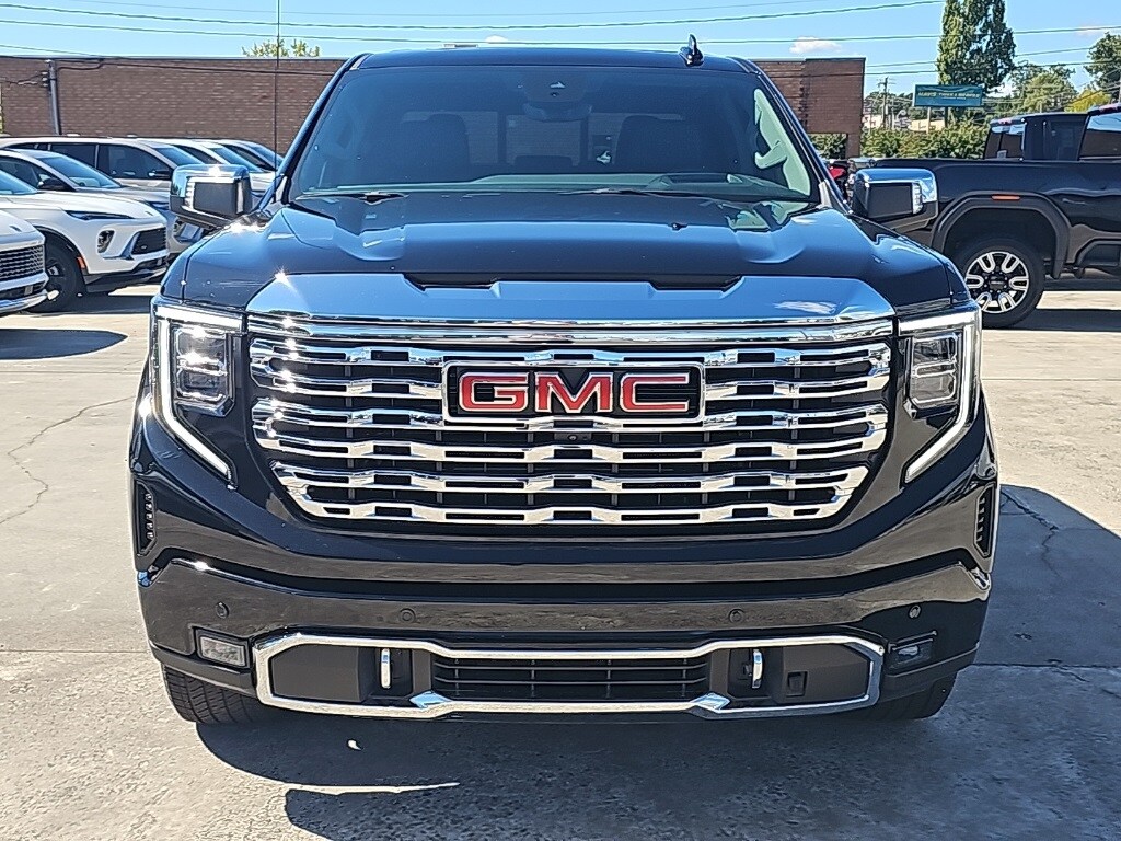2025 Gmc Sierra 1500 Denali photo 3