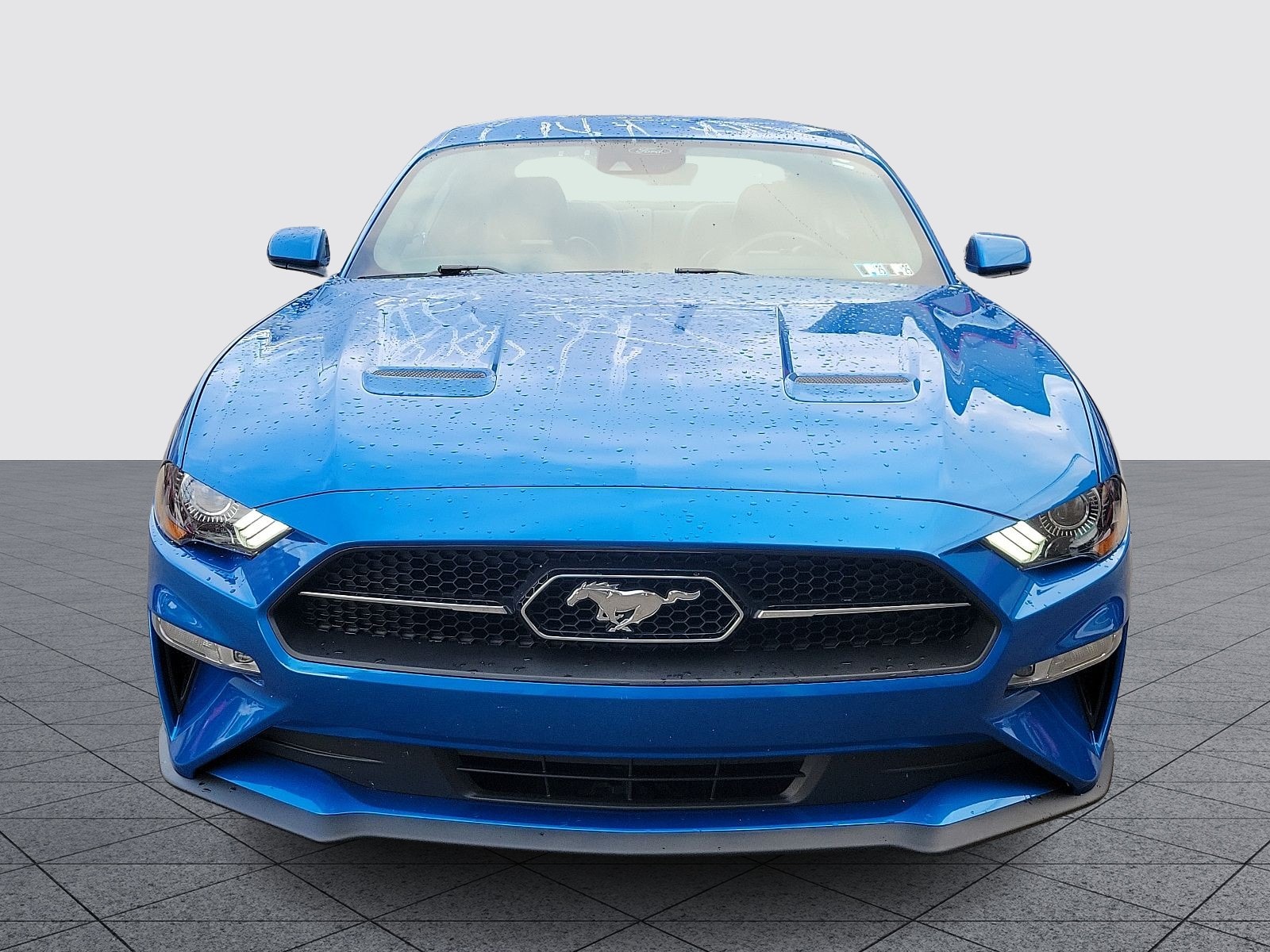 Certified 2021 Ford Mustang EcoBoost Premium with VIN 1FA6P8TH3M5134277 for sale in Charleroi, PA