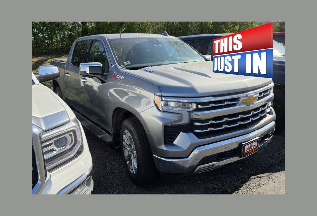 2023 Chevrolet Silverado 1500 Truck 