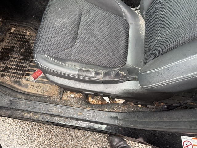 Thumbnail: 2019 Subaru Forester - 12