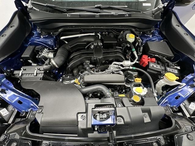 Thumbnail: 2026 Subaru Forester - 24