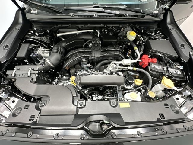 Thumbnail: 2025 Subaru Crosstrek - 24