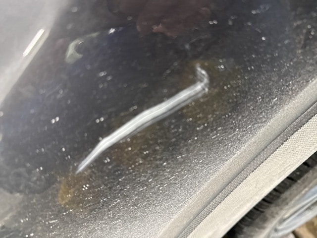 Thumbnail: 2022 Subaru Forester - 15