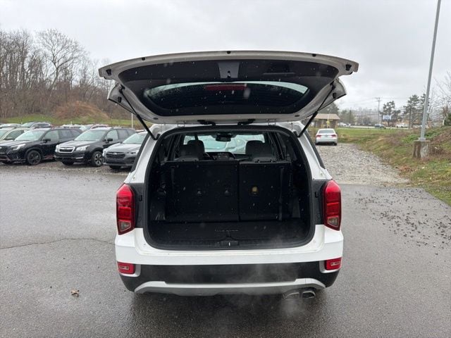 Thumbnail: 2020 Hyundai Palisade - 11