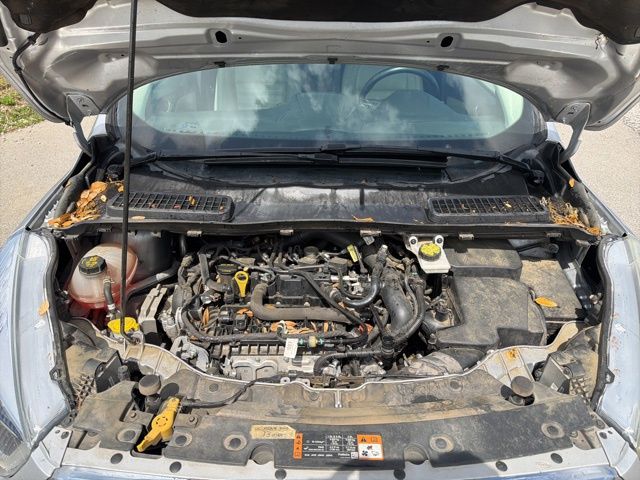 Thumbnail: 2019 Ford Escape - 4