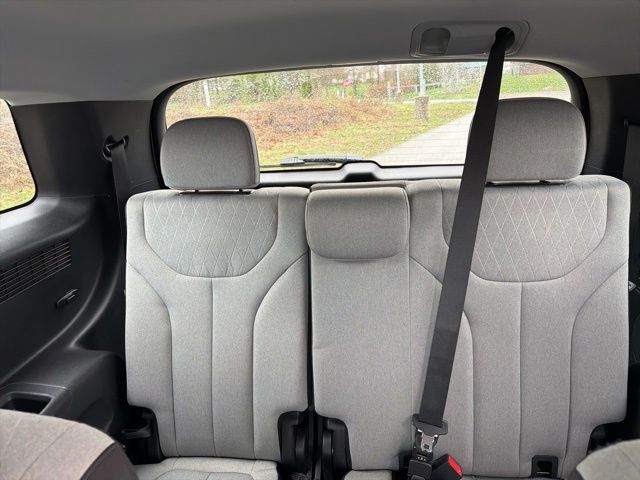 Thumbnail: 2020 Hyundai Palisade - 17