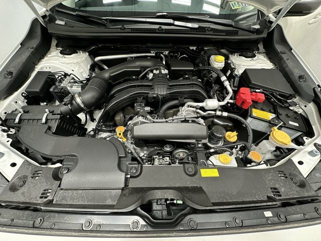 Thumbnail: 2025 Subaru Crosstrek - 24