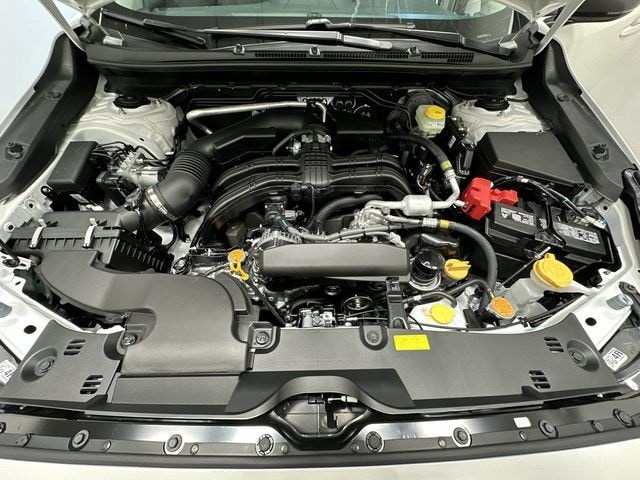 Thumbnail: 2025 Subaru Crosstrek - 24