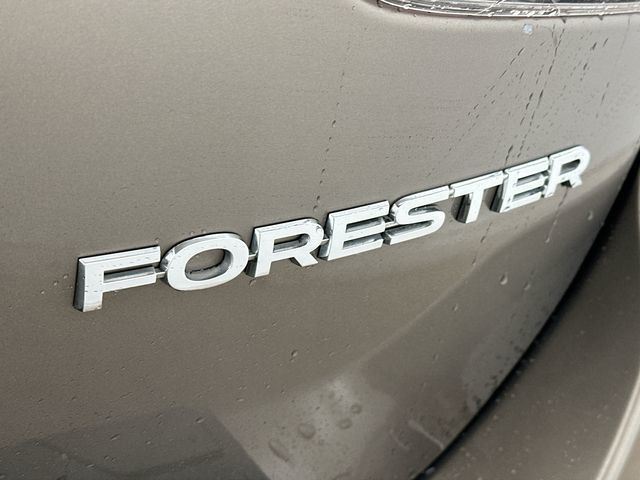 Thumbnail: 2021 Subaru Forester - 29