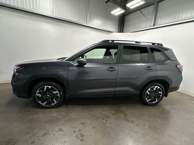 Thumbnail: 2025 Subaru Forester - 2