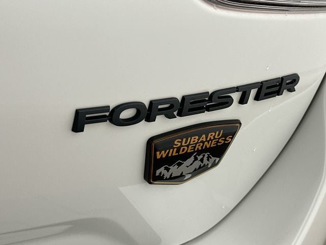 Thumbnail: 2025 Subaru Forester - 29