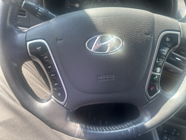 2010 Hyundai Santa Fe SE 12