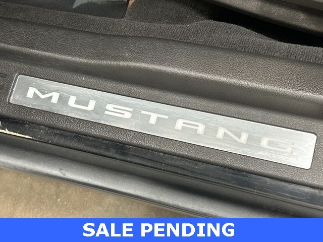 Thumbnail: 2010 Ford Mustang - 23